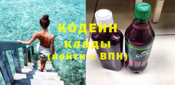 МДПВ Тайга